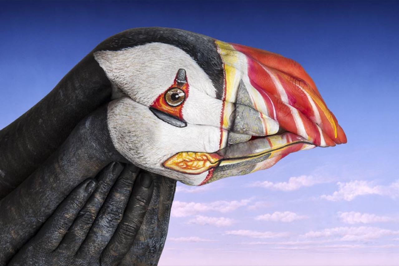 Animal Hand Paintings by Guido Daniele