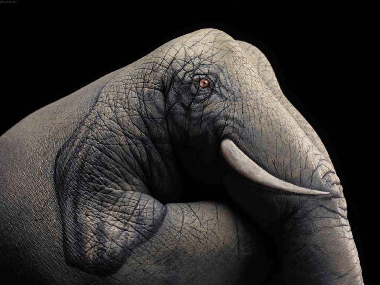 Guido Daniele Artwork #9