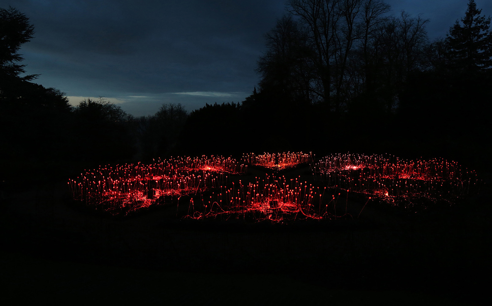 Bruce Munroe Fields of Light