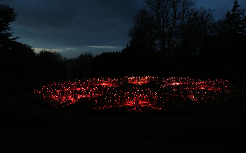 Bruce Munroe Fields of Light