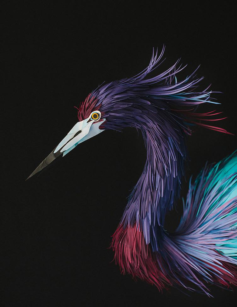 Paper Bird by Diana Beltran Herrera