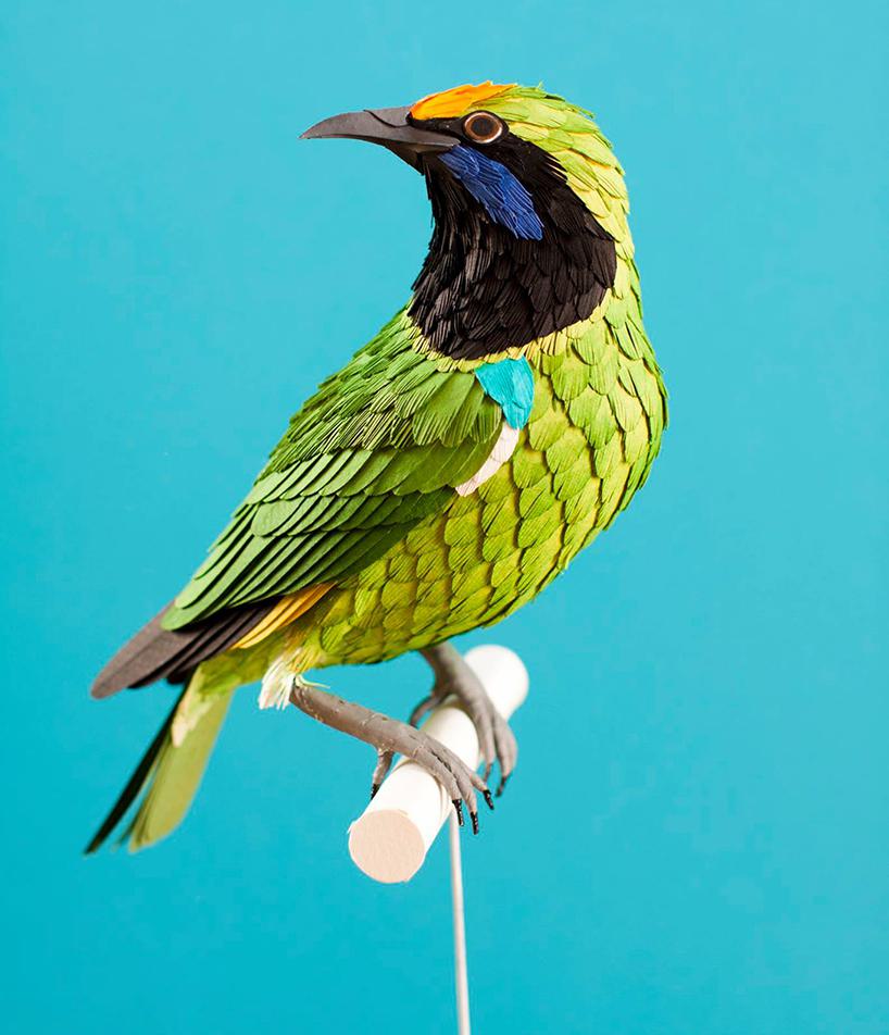 Paper Bird by Diana Beltran Herrera