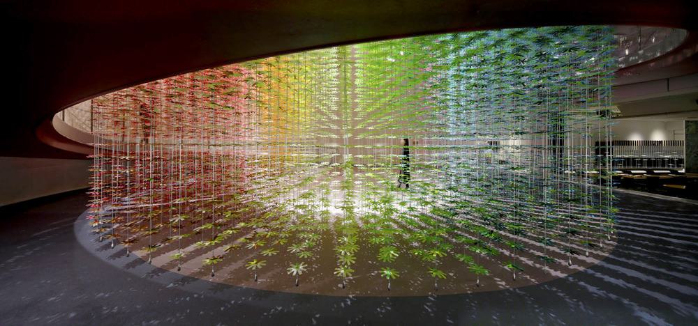 Color_Installation_by_Emmanuelle_Moreaux