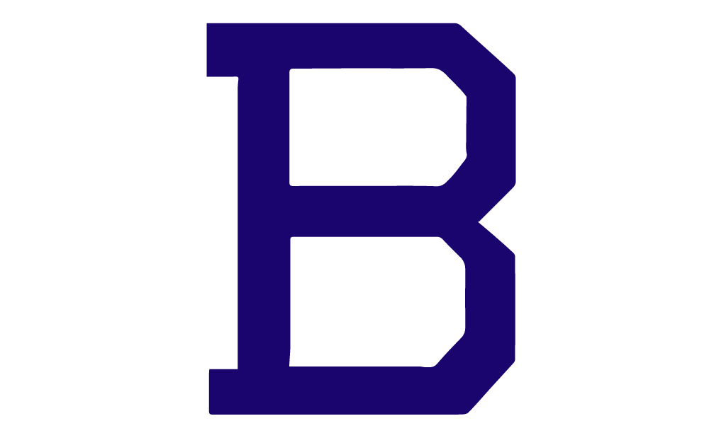1902 Baltimore Orioles Logo