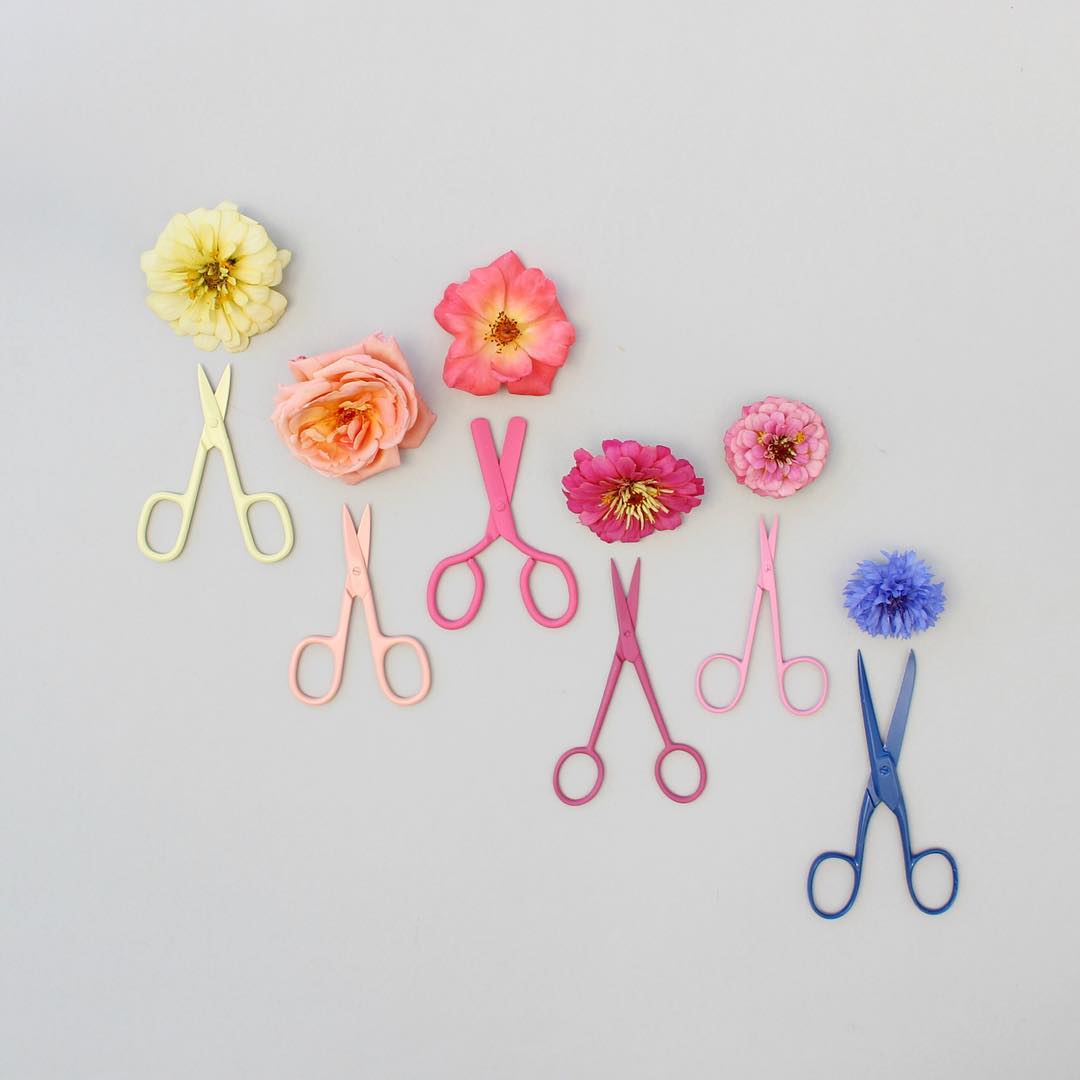 The Creative Arrangements Of Caroline South Art Design Creative 