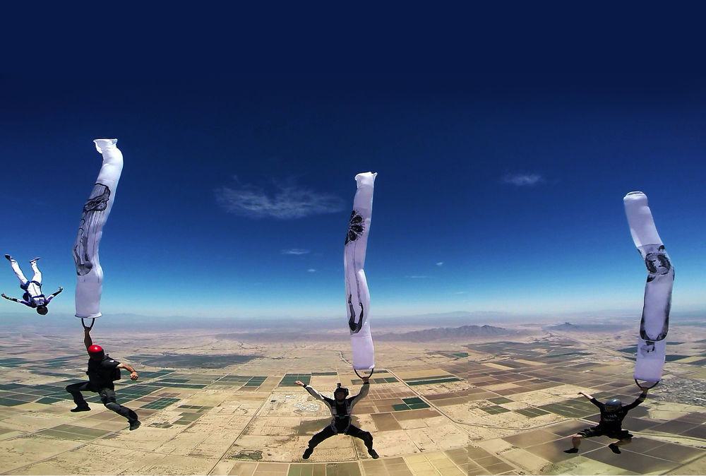 Image of The Freefall Paintings of Vedi Djokich